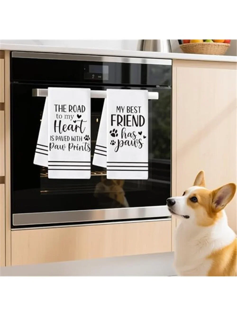 N/A 🧿cute dog